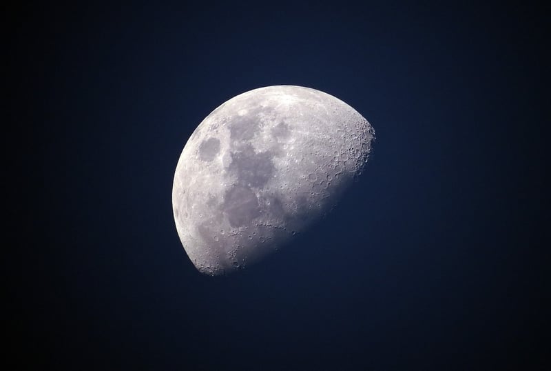 Lunar Gardens
